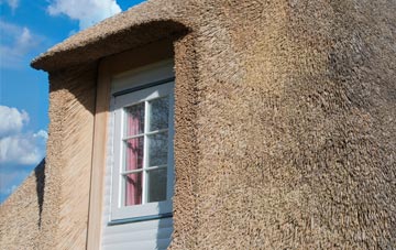 Ashbeer thatch roof disadvantages
