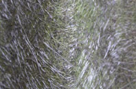 Ashbeer fibreglass roof work